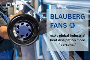 BLAUBERG-GROUP